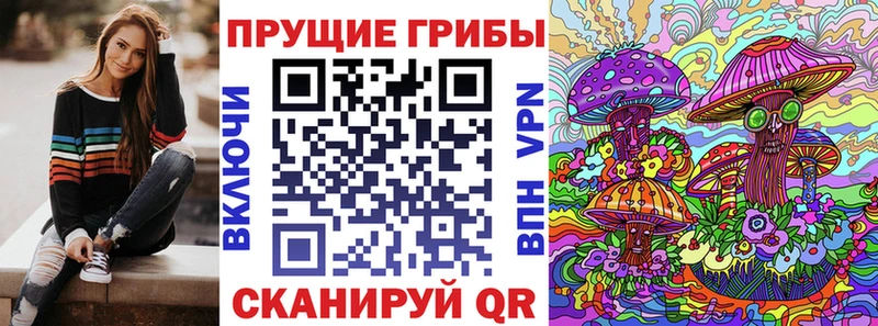 где купить наркоту  Кузнецк  blacksprut ссылка  Галлюциногенные грибы мицелий 