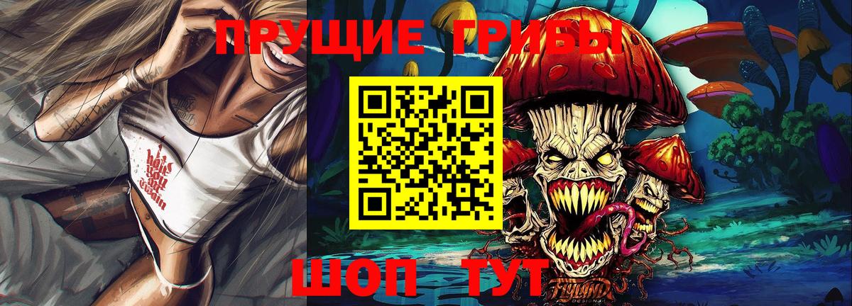 Кузнецк  Галлюциногенные грибы GOLDEN TEACHER  Вход с VPN 