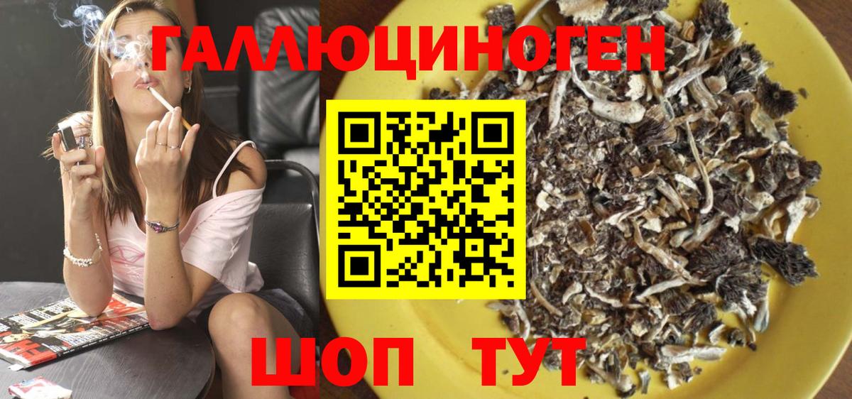 Галлюциногенные грибы мицелий Кузнецк